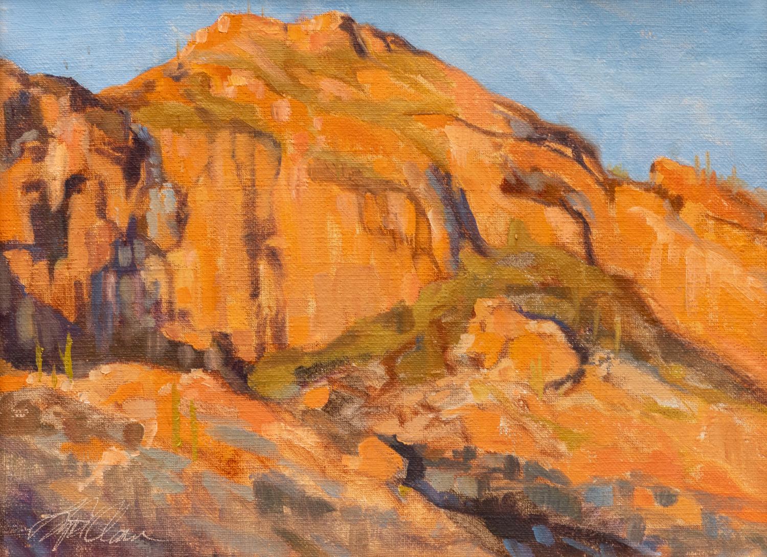 Catalinas at Sunset
