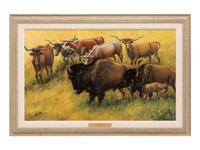 Coming of the Longhorn