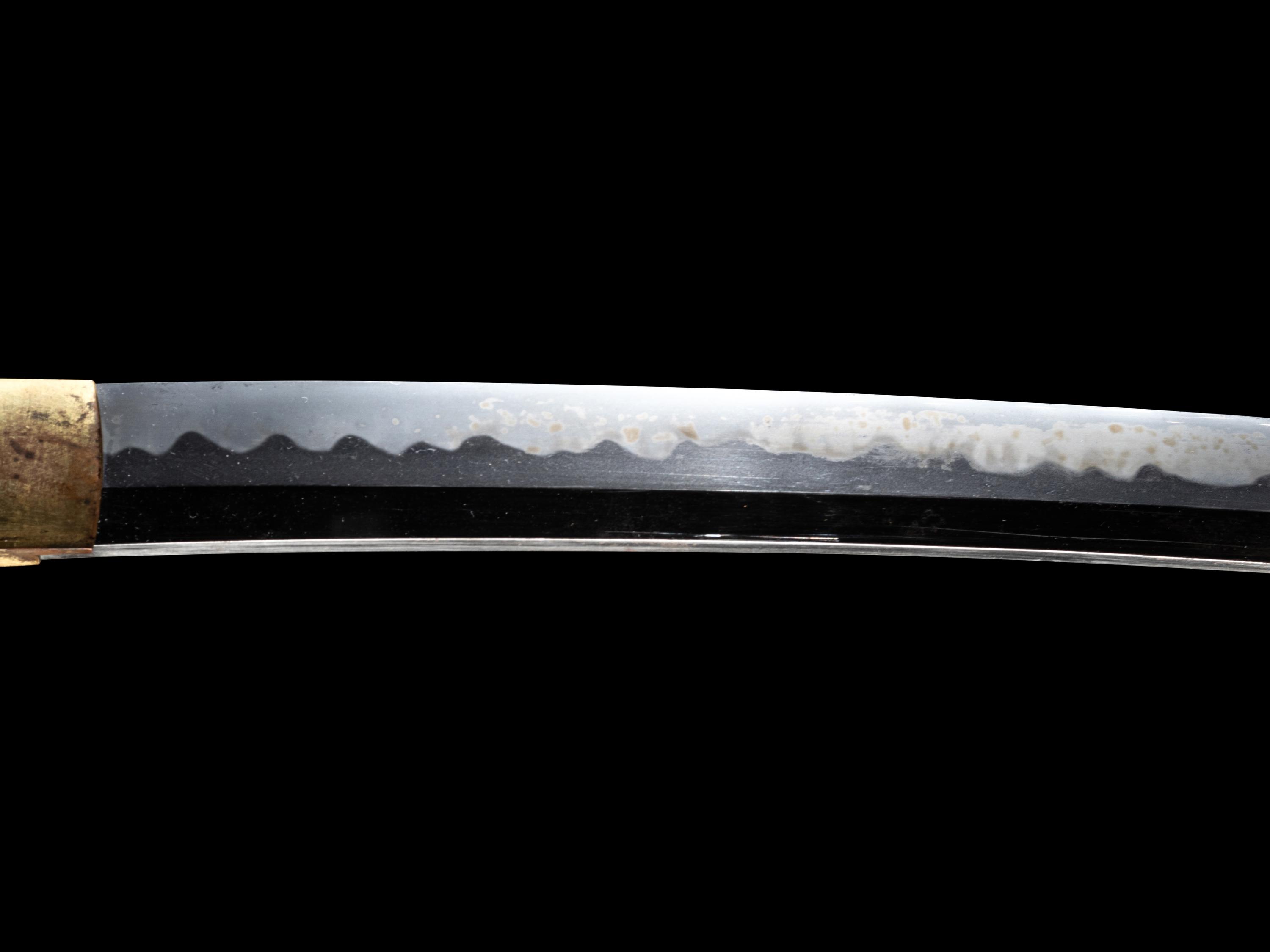 A Wakazashi