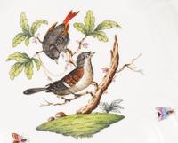 A Set of Twelve Herend Rothschild Bird Porcelain Pasta Plates
