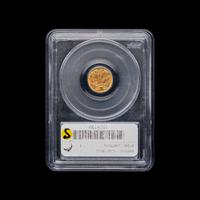A 1889 Indian Princess $1 Gold Coin [PCGS MS62]