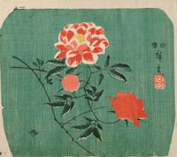 Two Fan Leaves