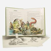 [Children's & Illustrated] Lobel, Arnold Sketches for The Frog and Toad Pop-Up Book
