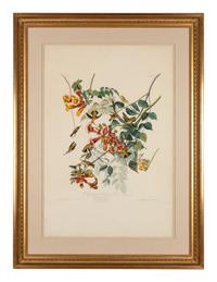 AUDUBON, John James (1785-1851)
