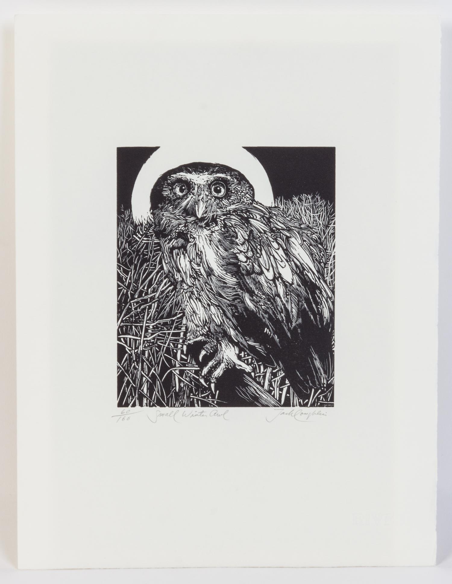 Jack Coughlin, (American, b. 1932), Small White Owl