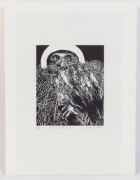 Jack Coughlin, (American, b. 1932), Small White Owl