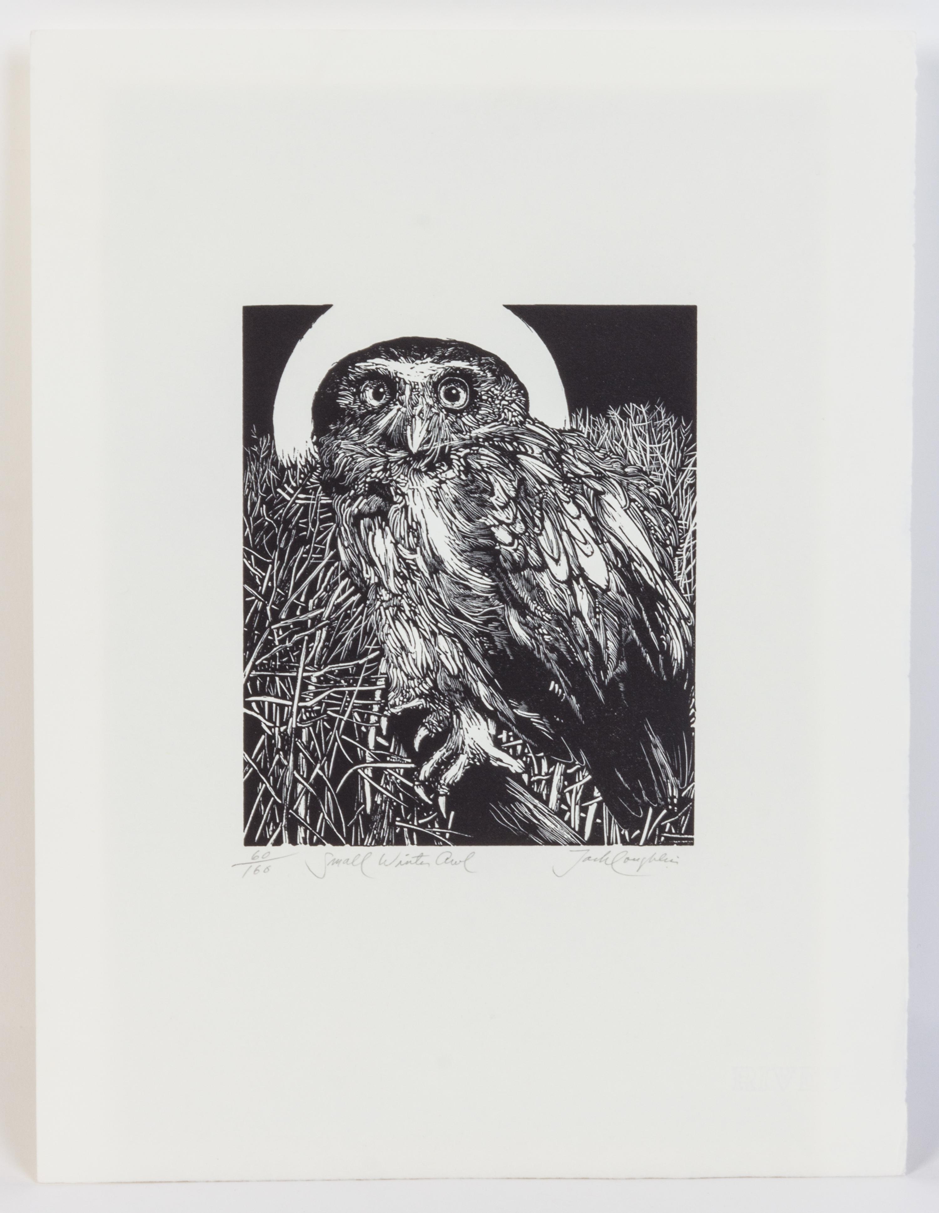 Jack Coughlin, (American, b. 1932), Small White Owl