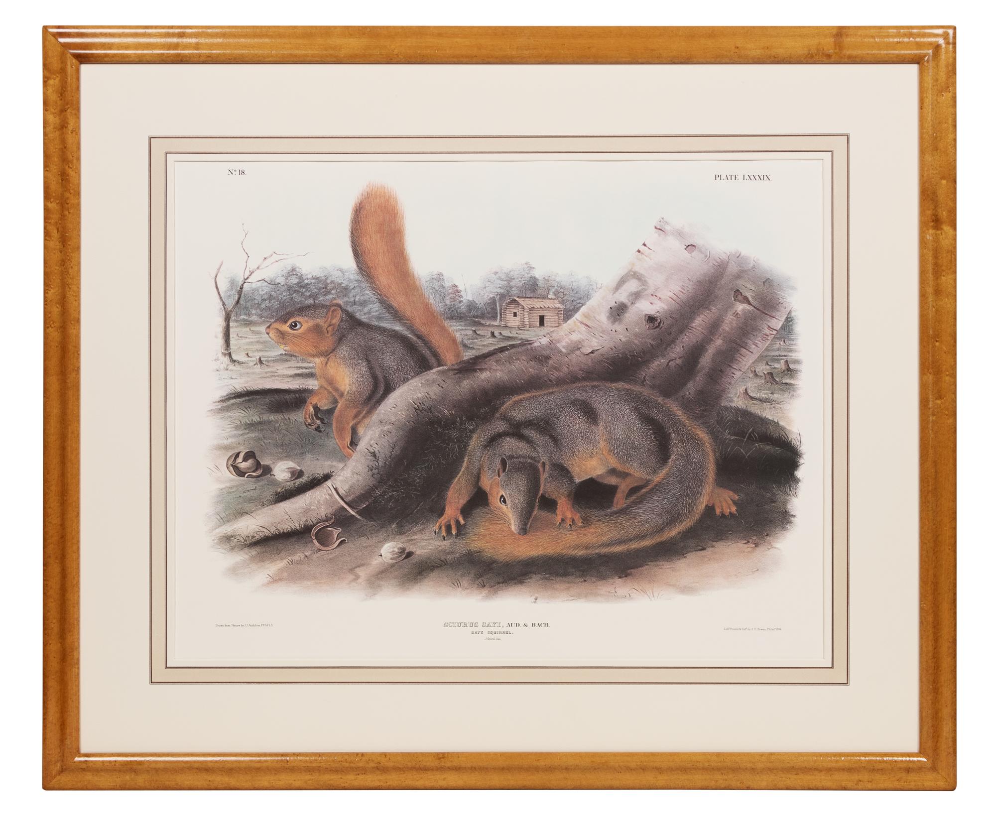 After John James Audubon (American, 1785-1851)