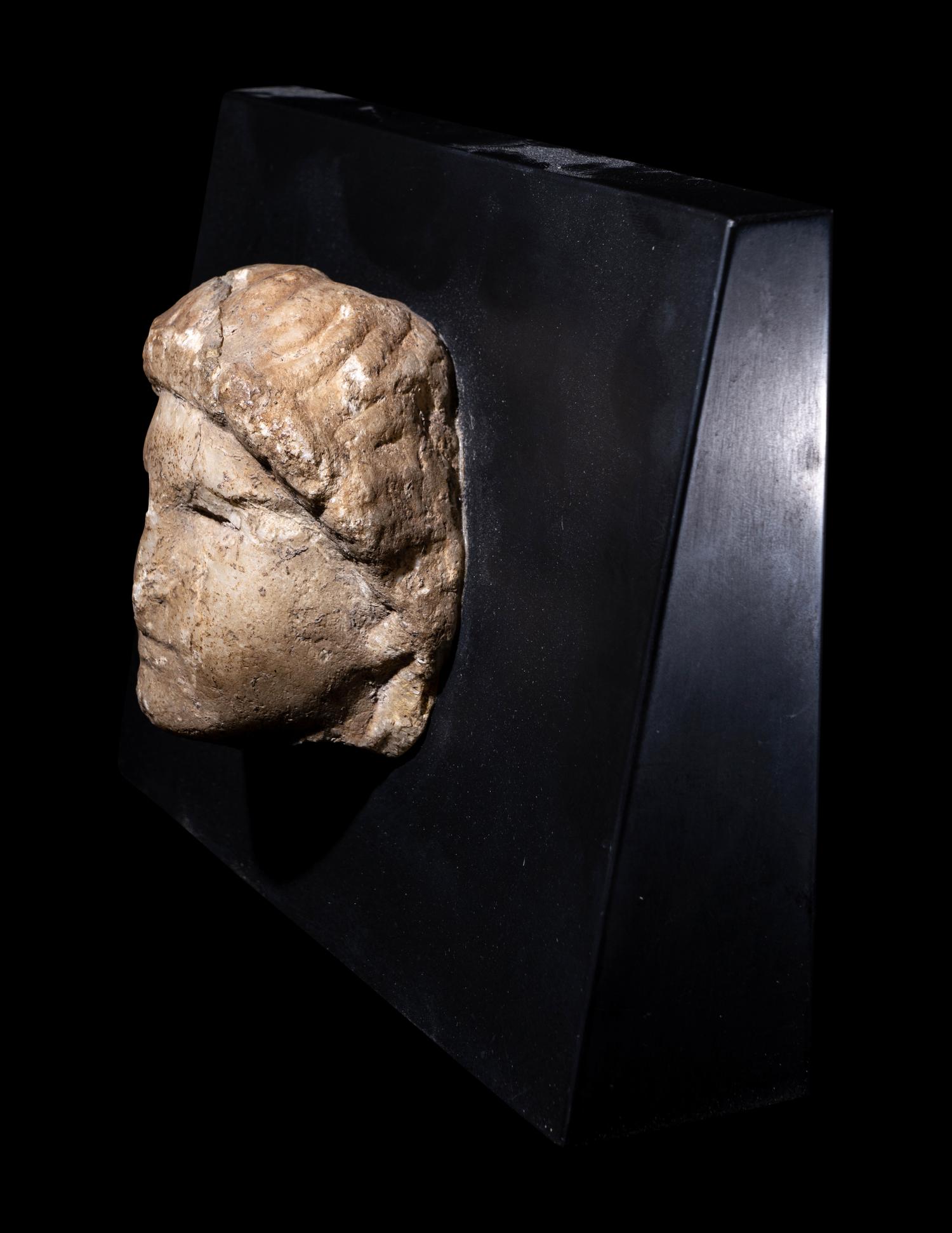 A Roman Marble Head of a Youth