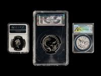 [INTERNATIONAL] A Collection of Thirty-One Government-Issued and Third-Party Graded Commemorative Coins
