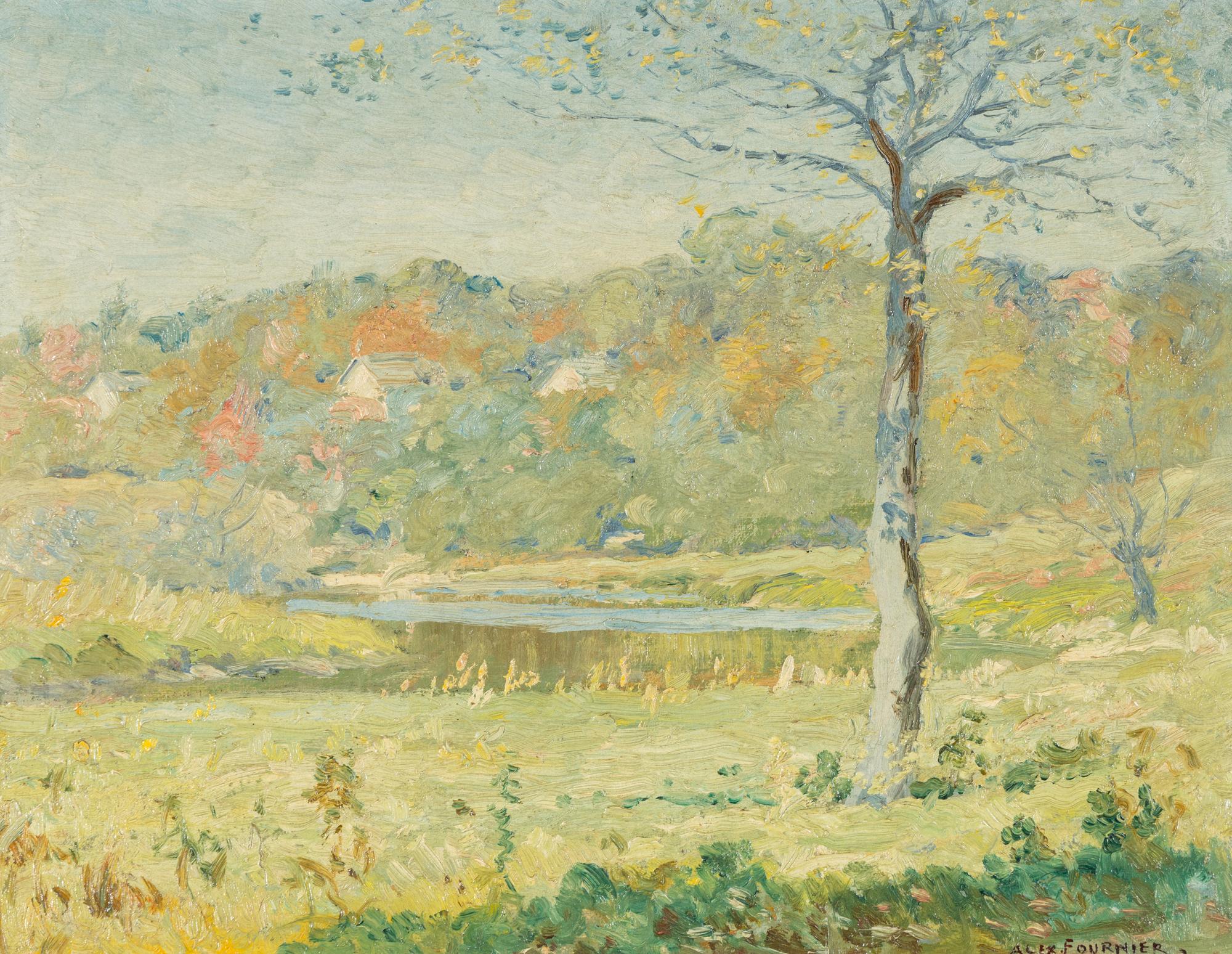 Autumn Sunlight
