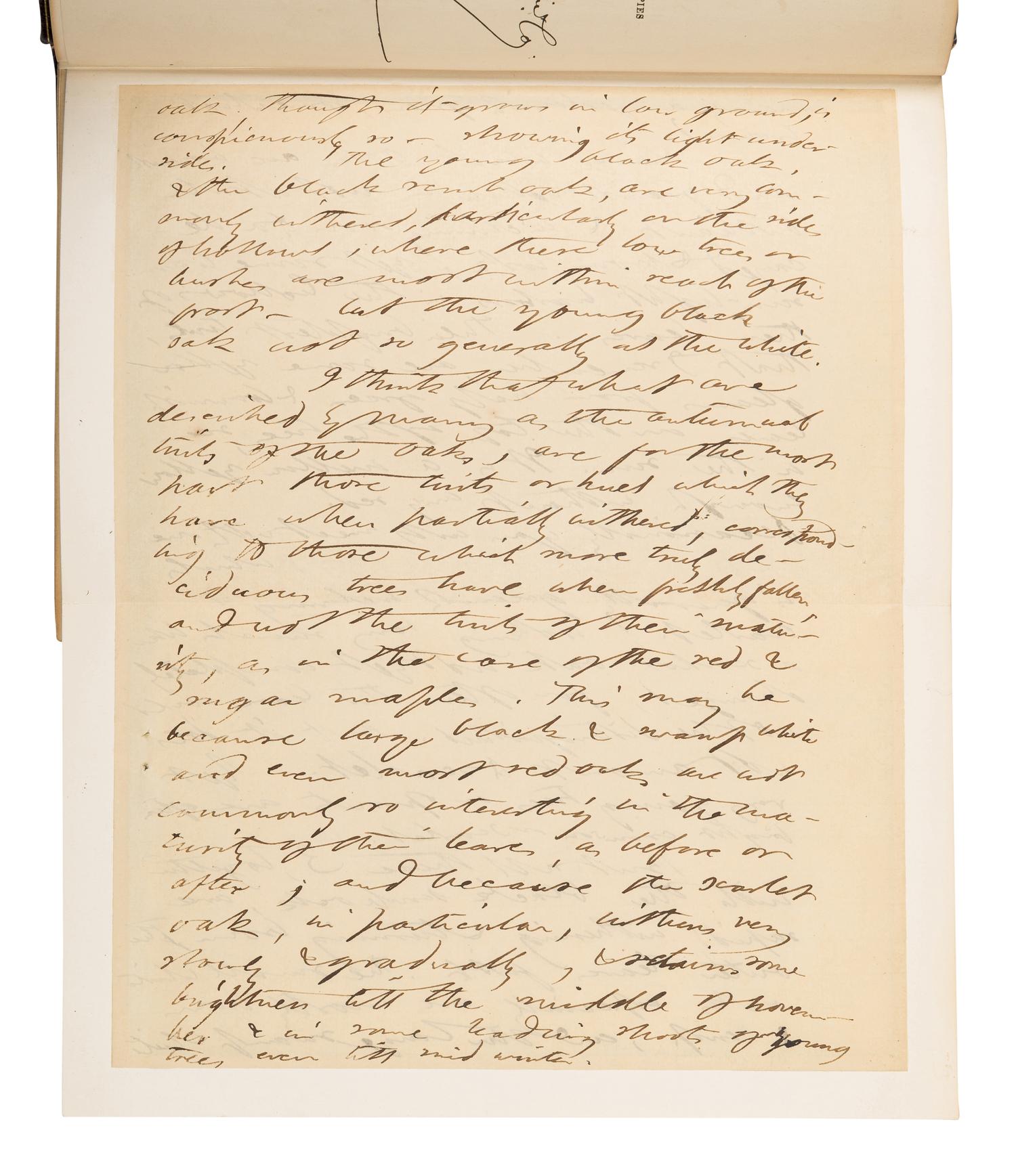 [BINDINGS]. THOREAU, Henry David (1817-1862). The Writings of Henry David Thoreau. Boston and New York: Houghton Mifflin and Company, 1906.