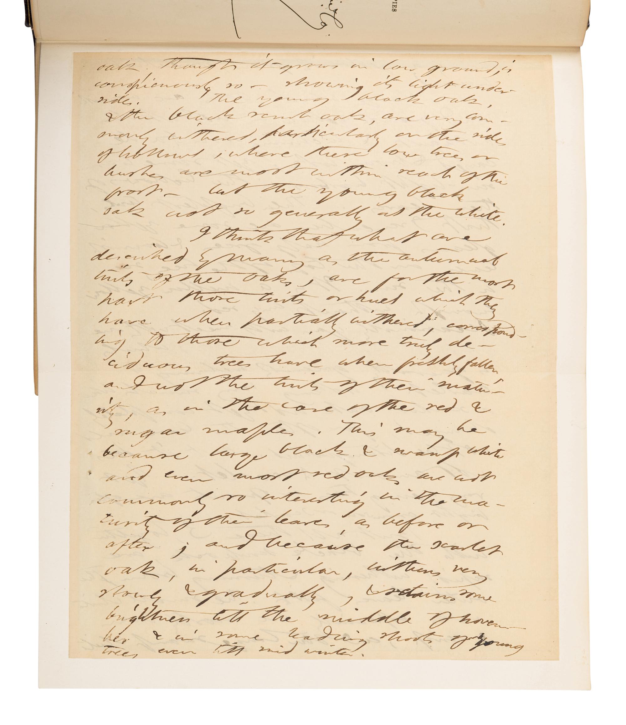 [BINDINGS]. THOREAU, Henry David (1817-1862). The Writings of Henry David Thoreau. Boston and New York: Houghton Mifflin and Company, 1906.