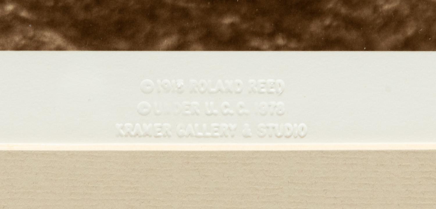 A Group of Six modern Photographs