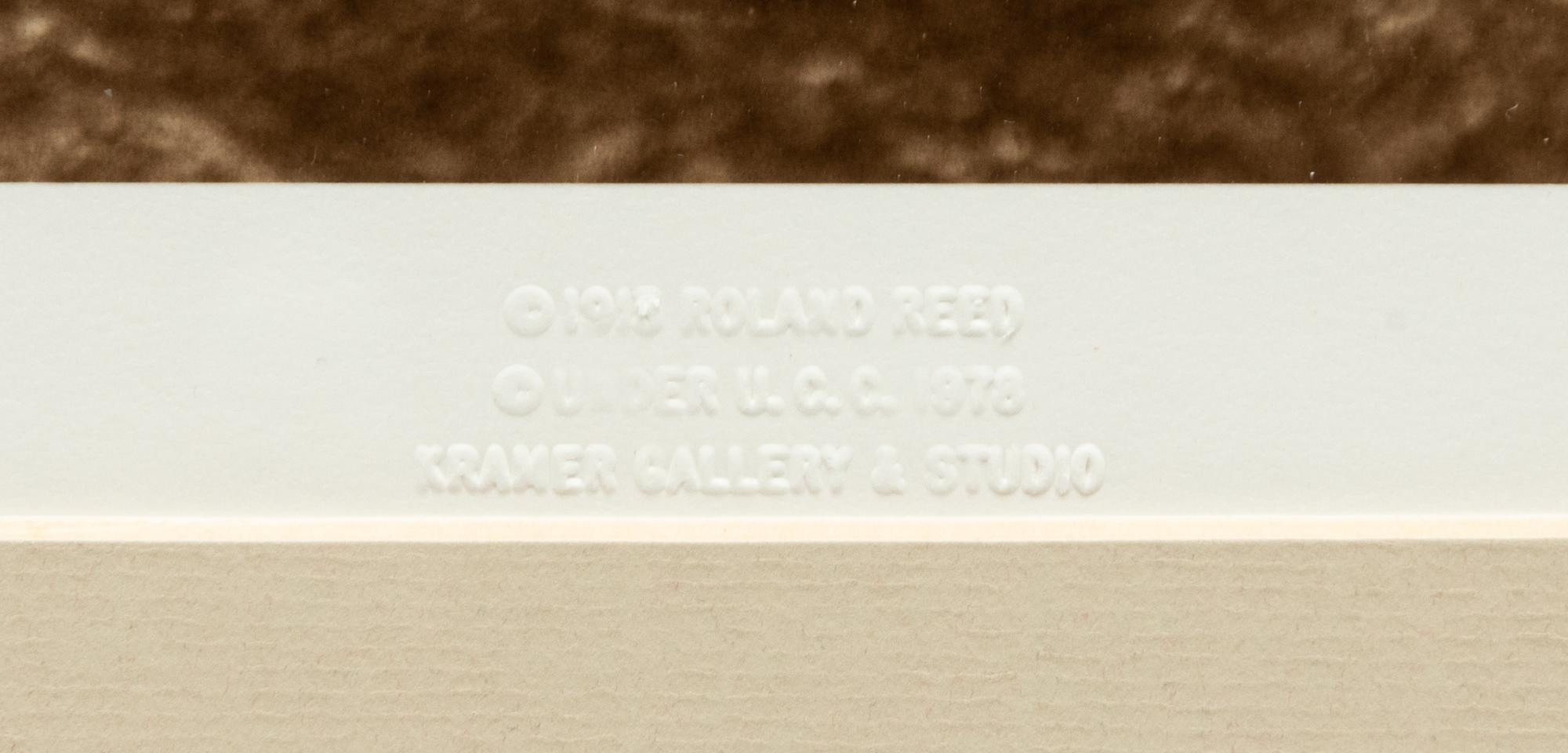 A Group of Six modern Photographs