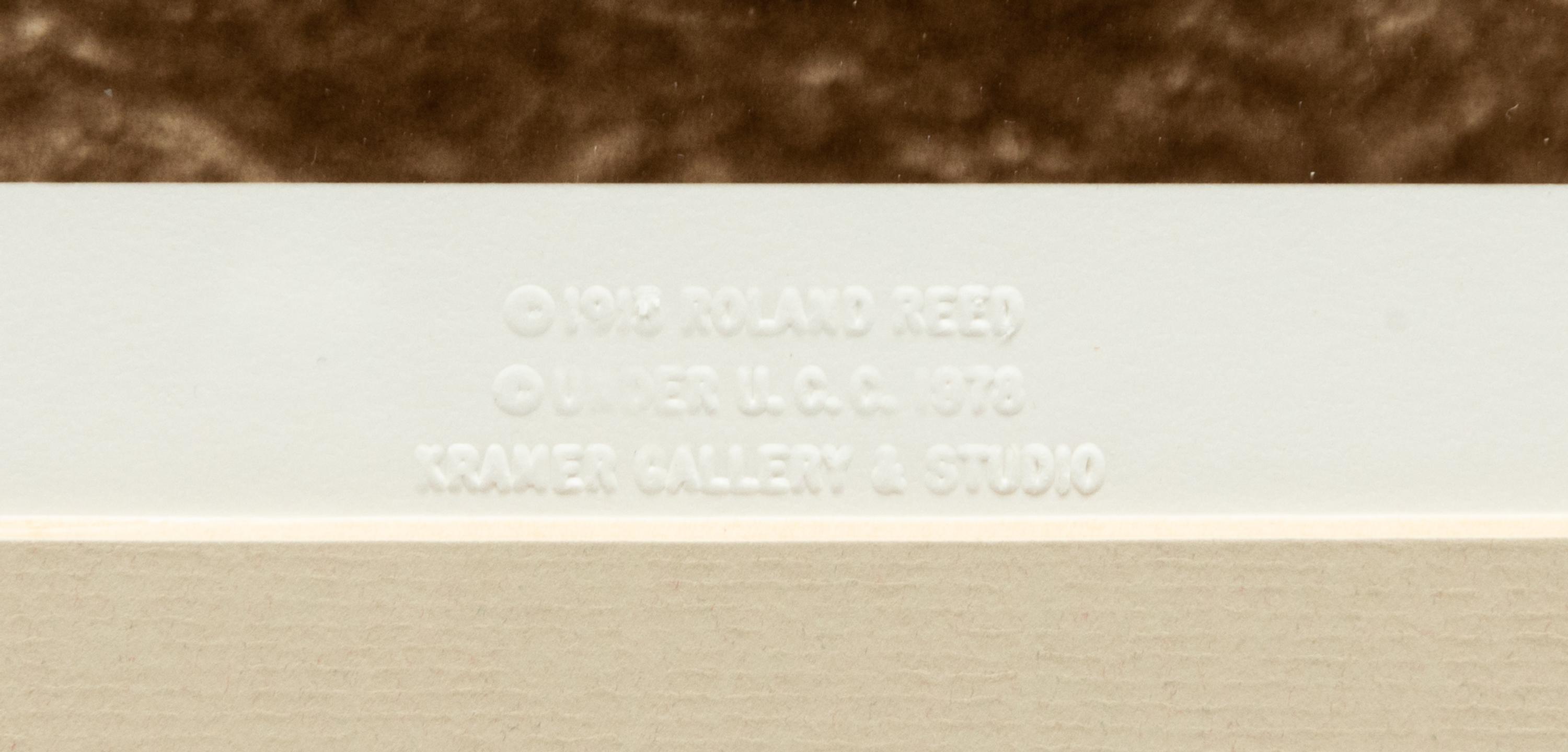 A Group of Six modern Photographs