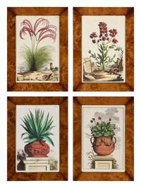 A Set of Four Hand Colored Botanical Engravings