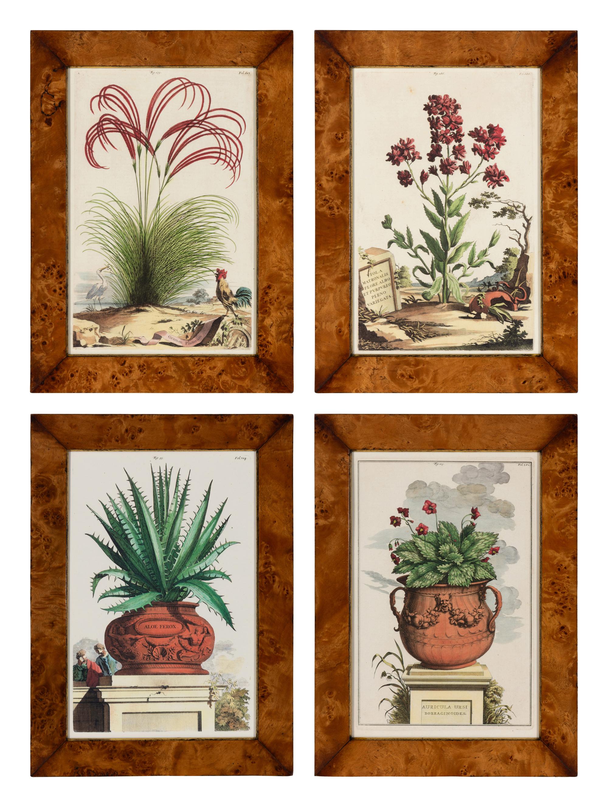 A Set of Four Hand Colored Botanical Engravings