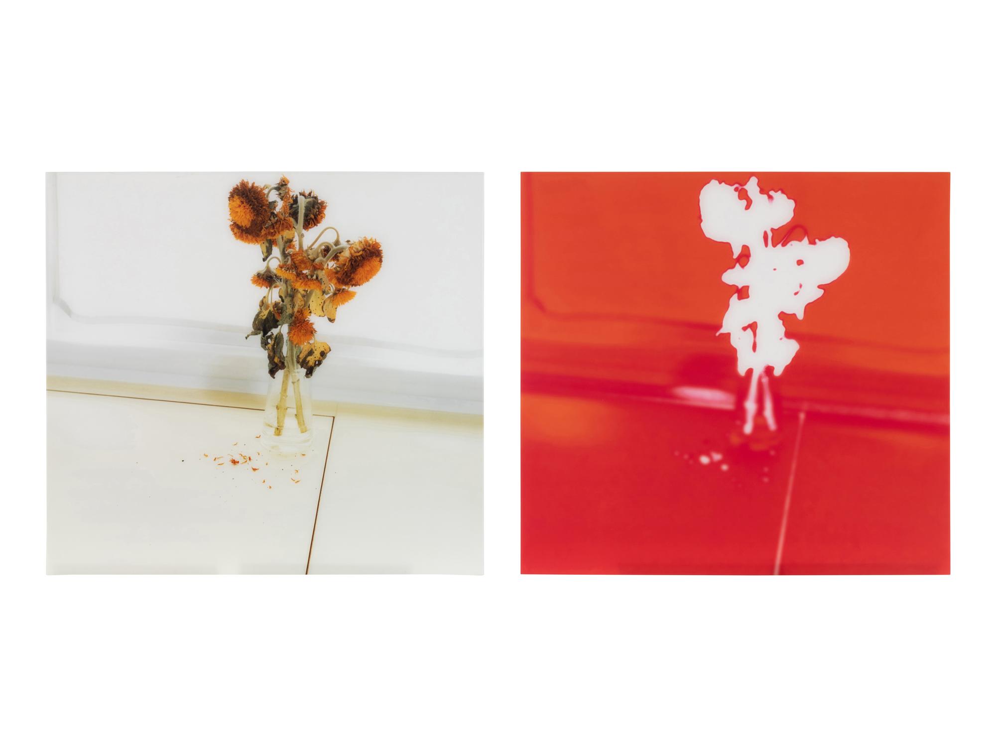 Untitled 05.6 (diptych), 2005