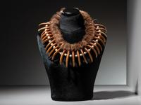 Plains Grizzly Claw Necklace