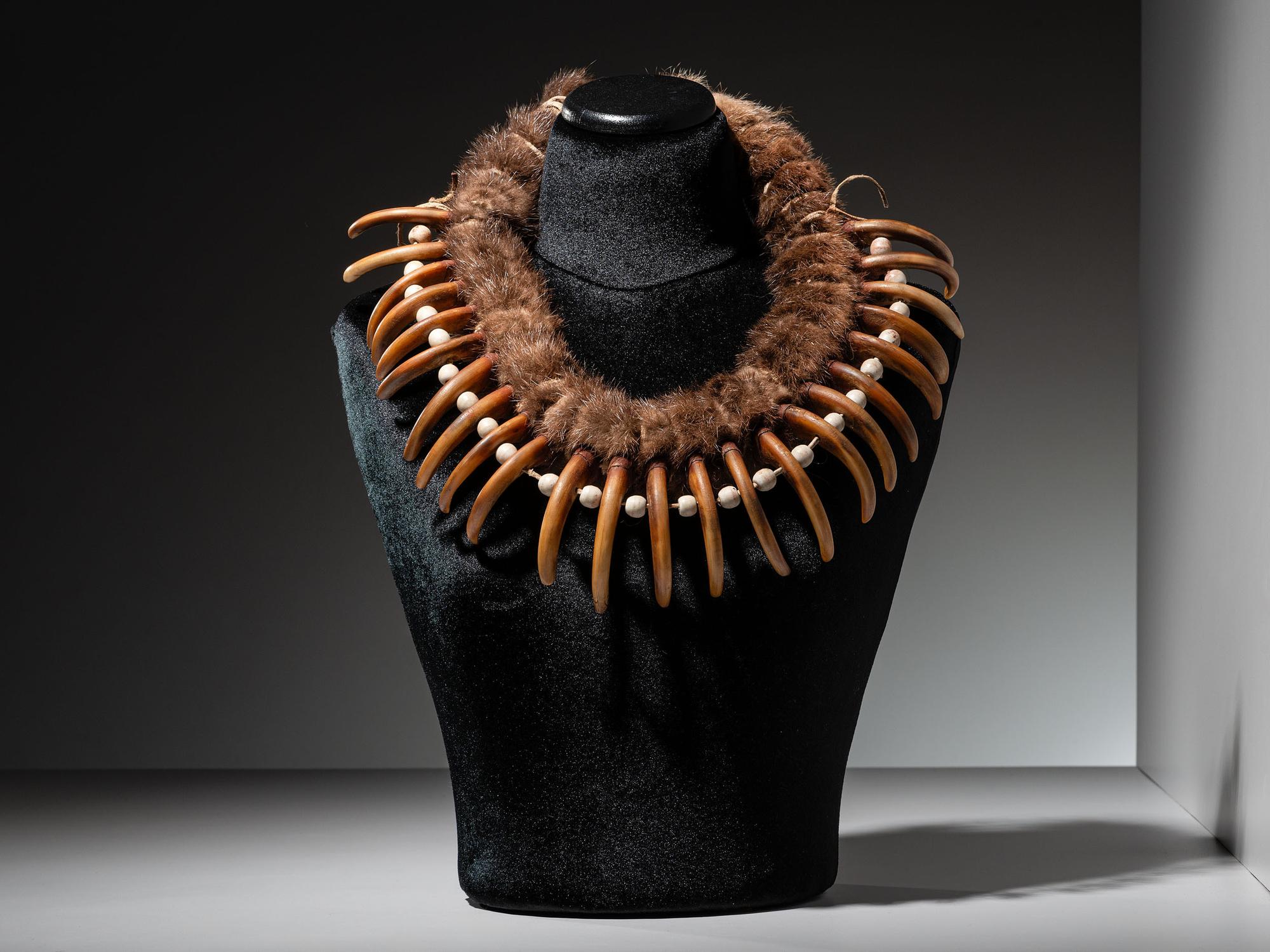 Plains Grizzly Claw Necklace