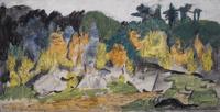 Wilderness Scene