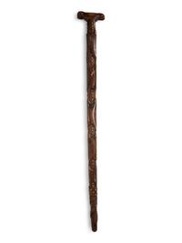 Northeastern Turtle Cane