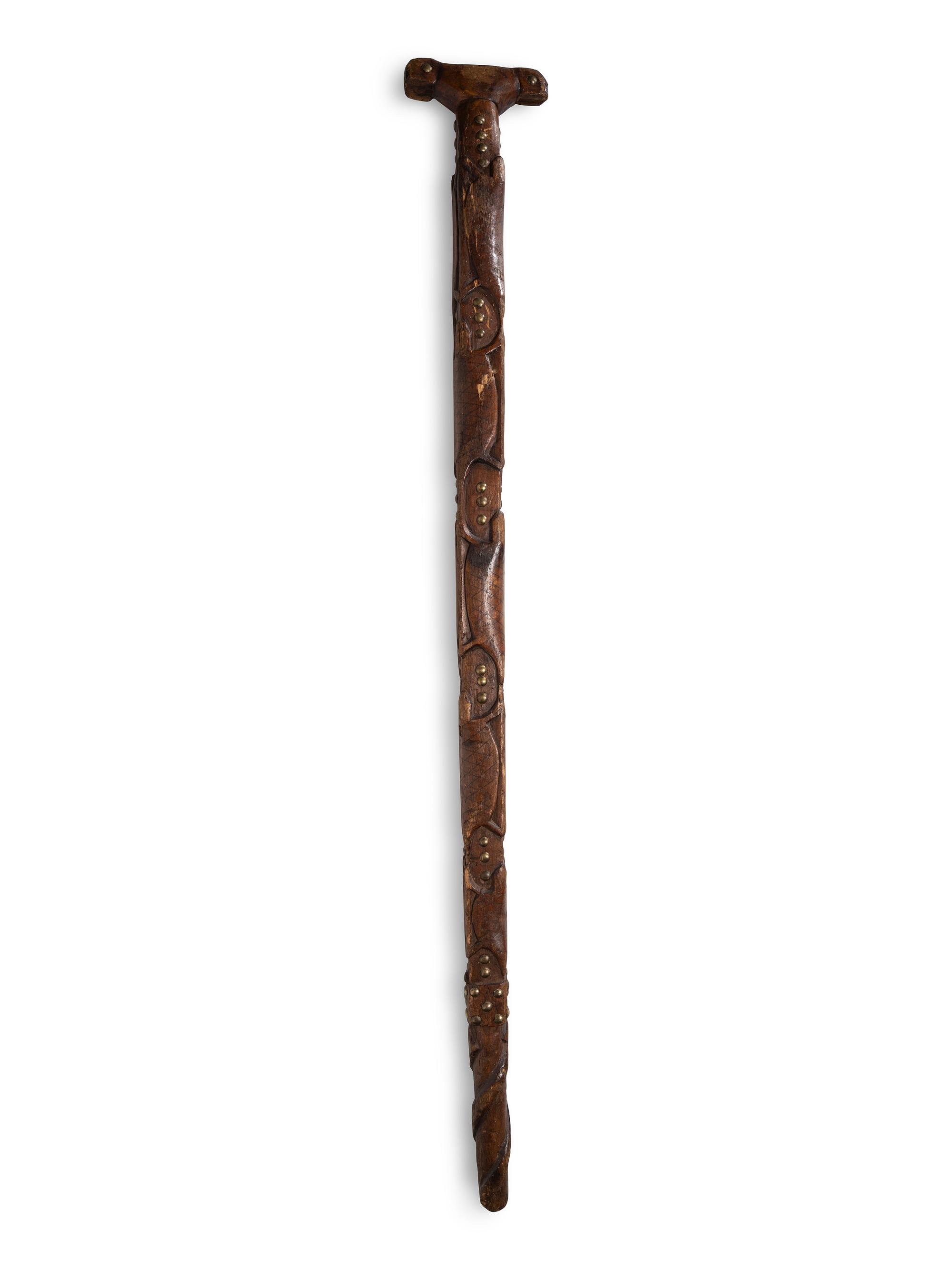 Northeastern Turtle Cane