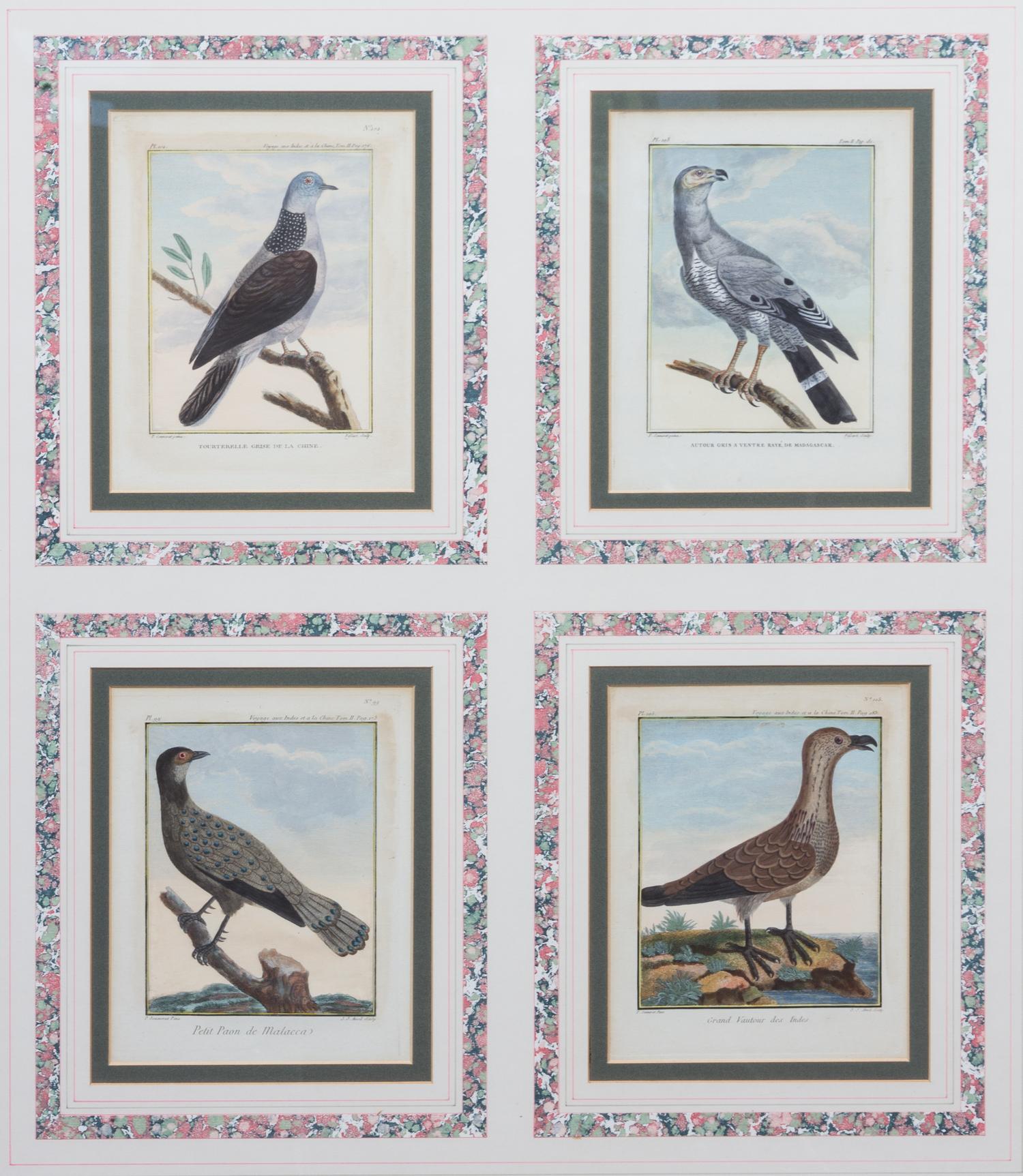 A Collection of Twelve Hand-Colored Ornithological Prints Height of each plate 9 1/2 x width 7 1/4 inches.
