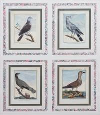 A Collection of Twelve Hand-Colored Ornithological Prints Height of each plate 9 1/2 x width 7 1/4 inches.