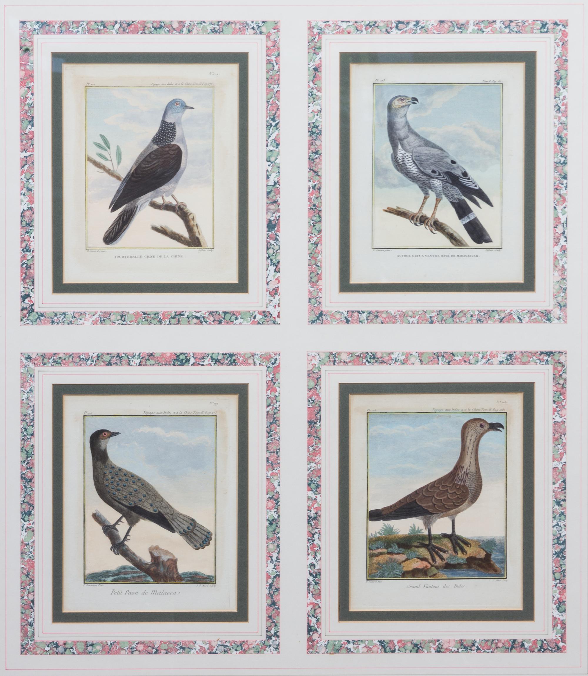 A Collection of Twelve Hand-Colored Ornithological Prints Height of each plate 9 1/2 x width 7 1/4 inches.