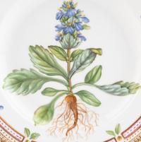 A Set of Eight Royal Copenhagen Flora Danica Porcelain Dinner Plates