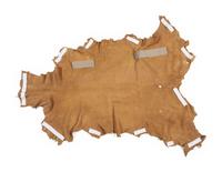 Painted Hide