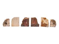 Three Pairs of Petrified Wood Bookends