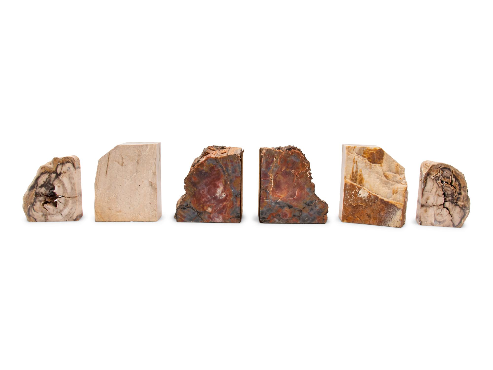 Three Pairs of Petrified Wood Bookends