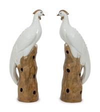 A Pair of Chinese Glazed Ceramic Exotic Birds