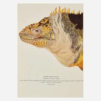 [Science, Medicine & Mathematics] Beebe, (Charles) William "Galapagos: World's End" and 3 Other Titles