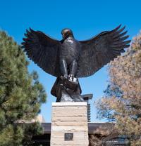 American Eagle , edition 5/5