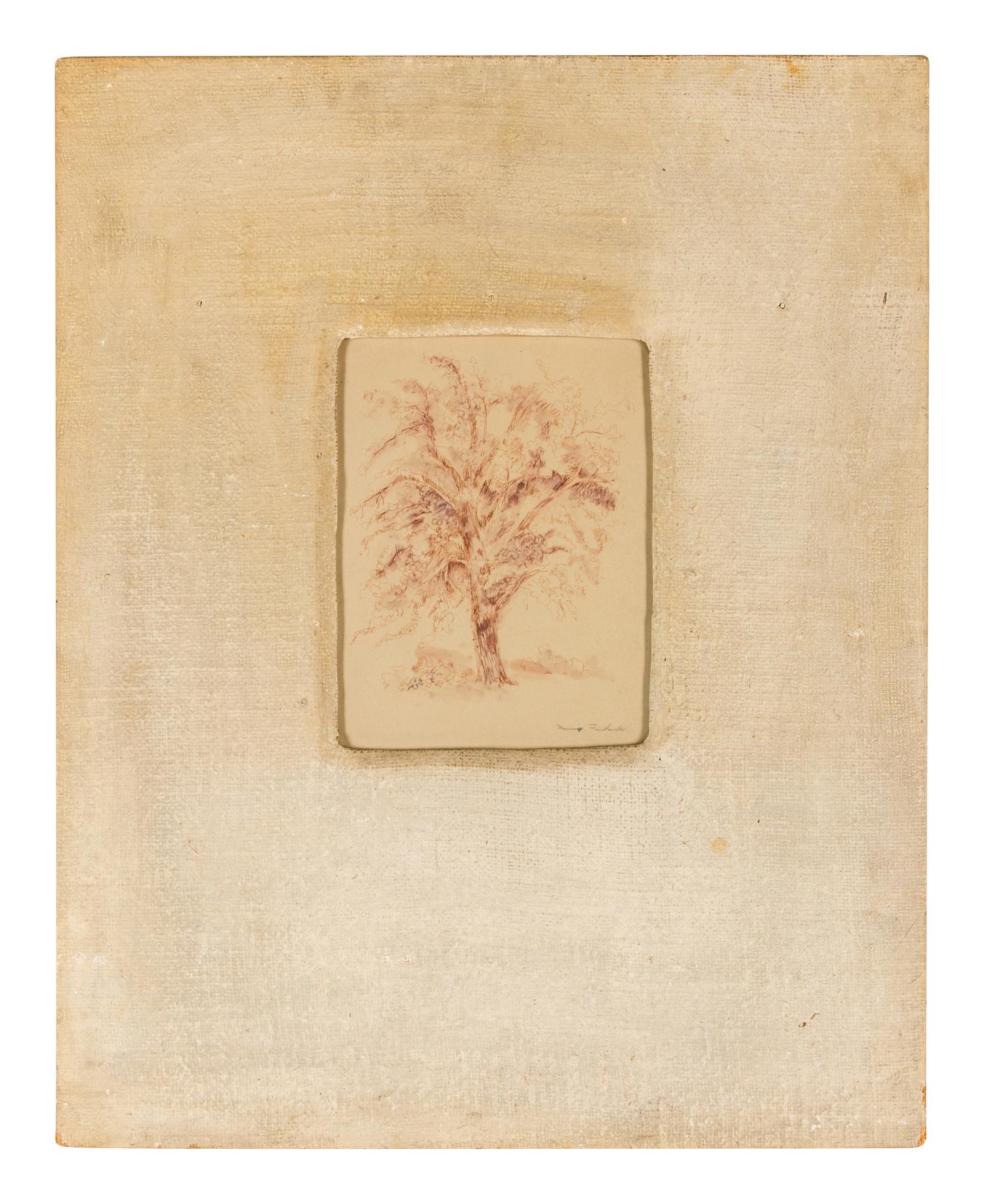 Maurice Friedlander sketch of a tree