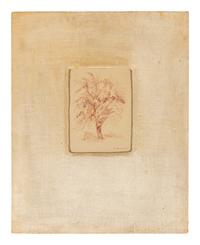 Maurice Friedlander sketch of a tree