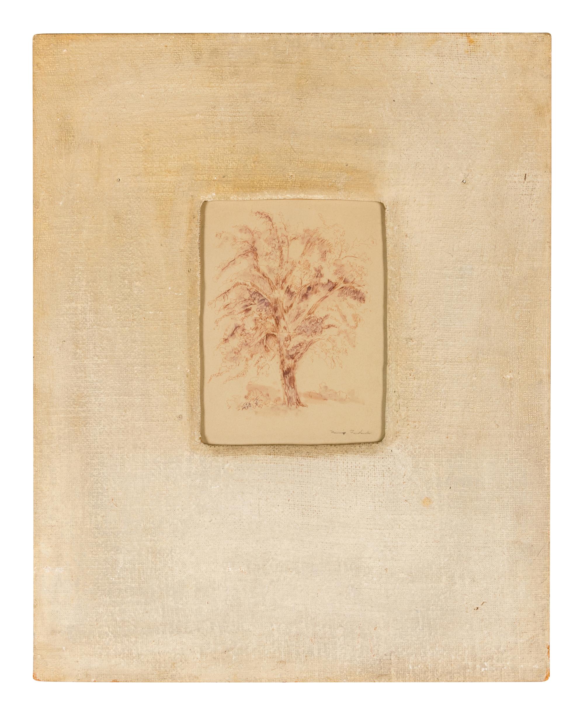 Maurice Friedlander sketch of a tree