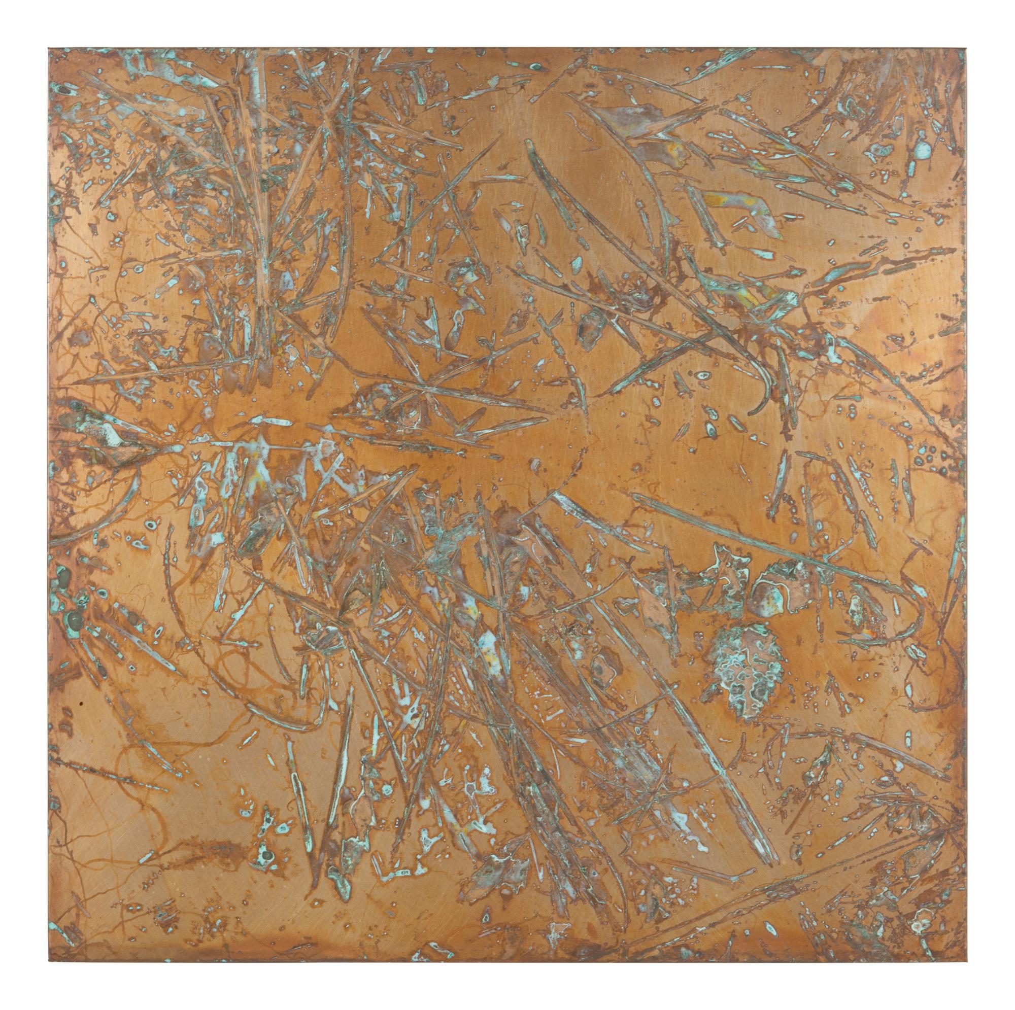 From Forest Mapping Series