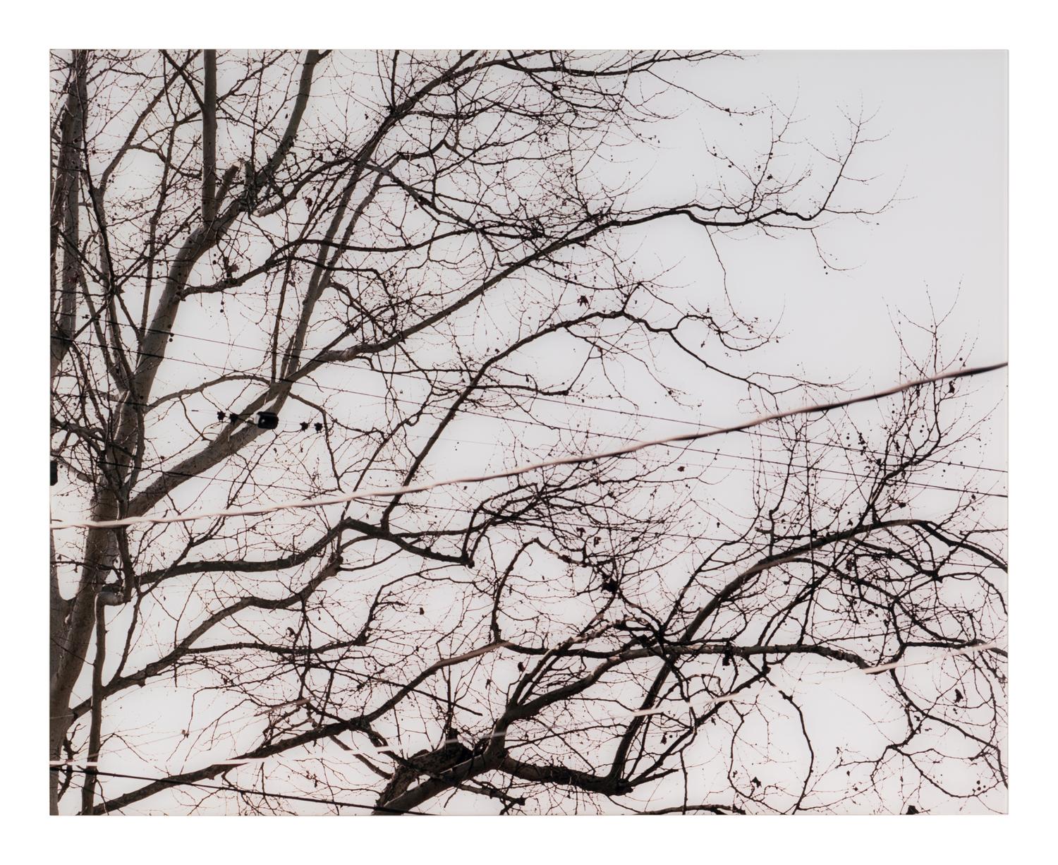 Untitled (02.9) , 2002 (diptych)