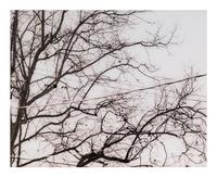 Untitled (02.9) , 2002 (diptych)