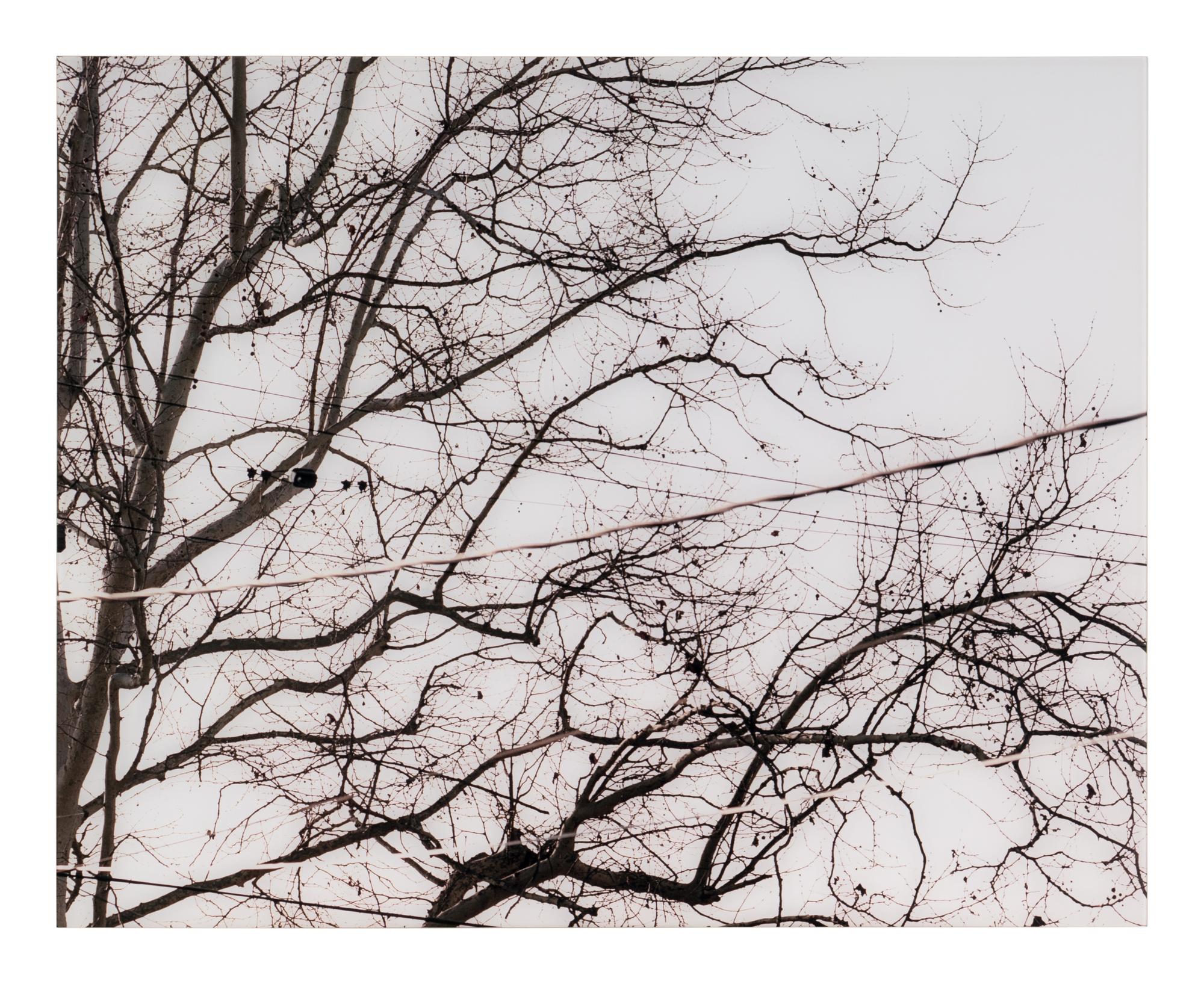 Untitled (02.9) , 2002 (diptych)