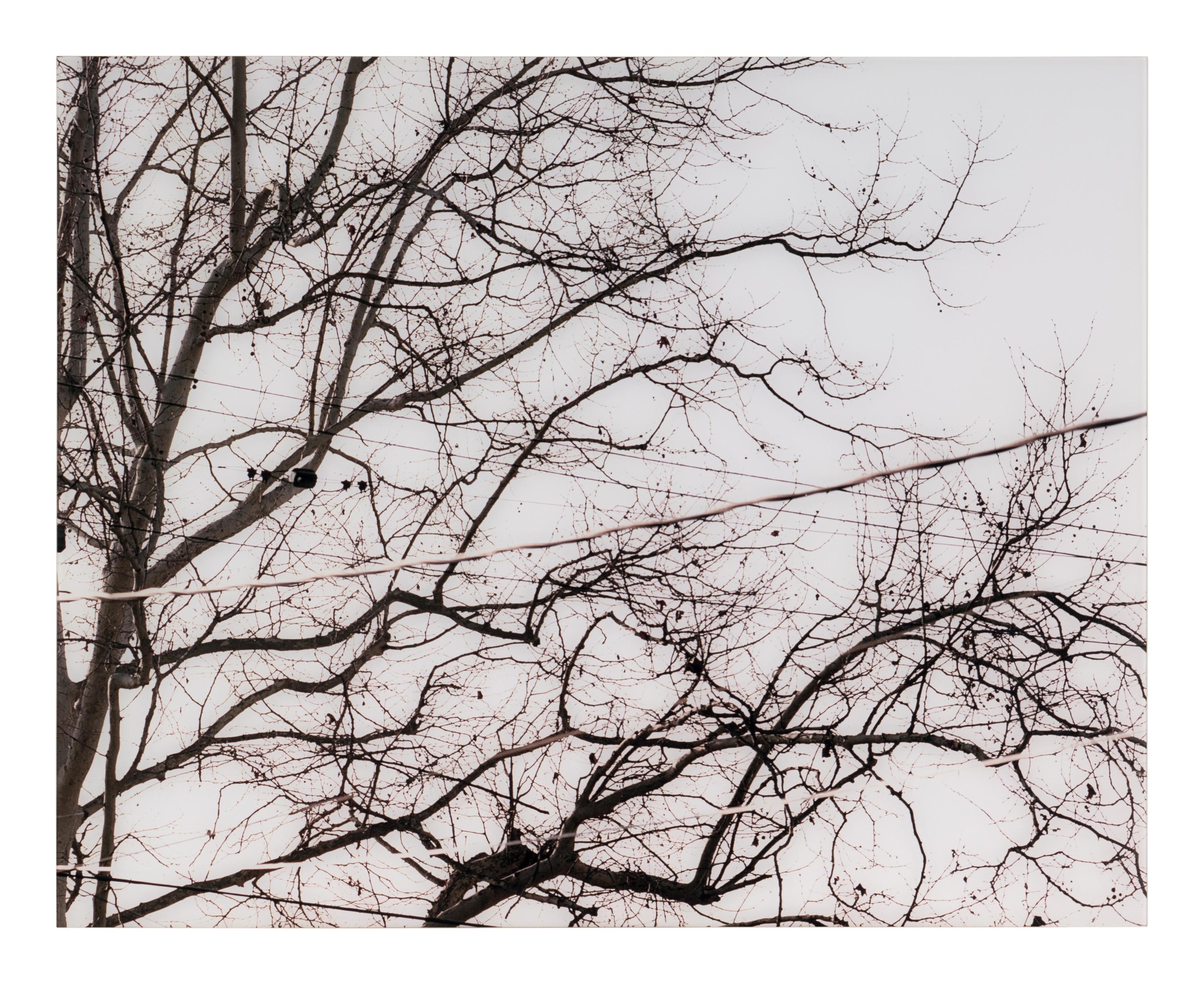 Untitled (02.9) , 2002 (diptych)