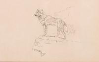 Wolf Facing Left