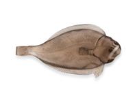 A Fabergé Carved Smoky-Quartz and Diamond-Inset Figure of a Fish