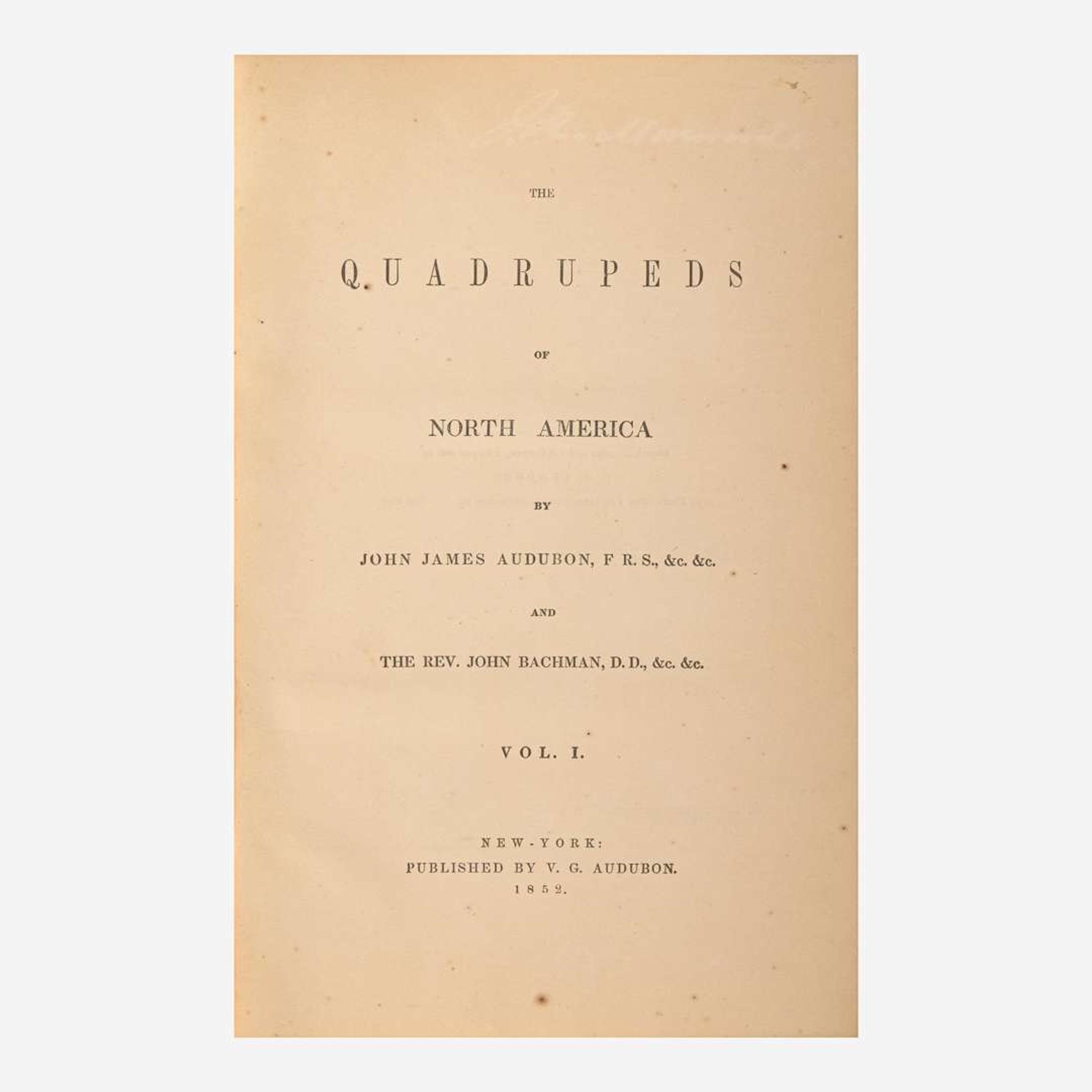 [Americana] Audubon, John James, and John Bachman The Quadrupeds of North America