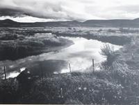 Whiting, Ray (American, 20th Century) Each: 10 1/4 x 13 1/4 inches.